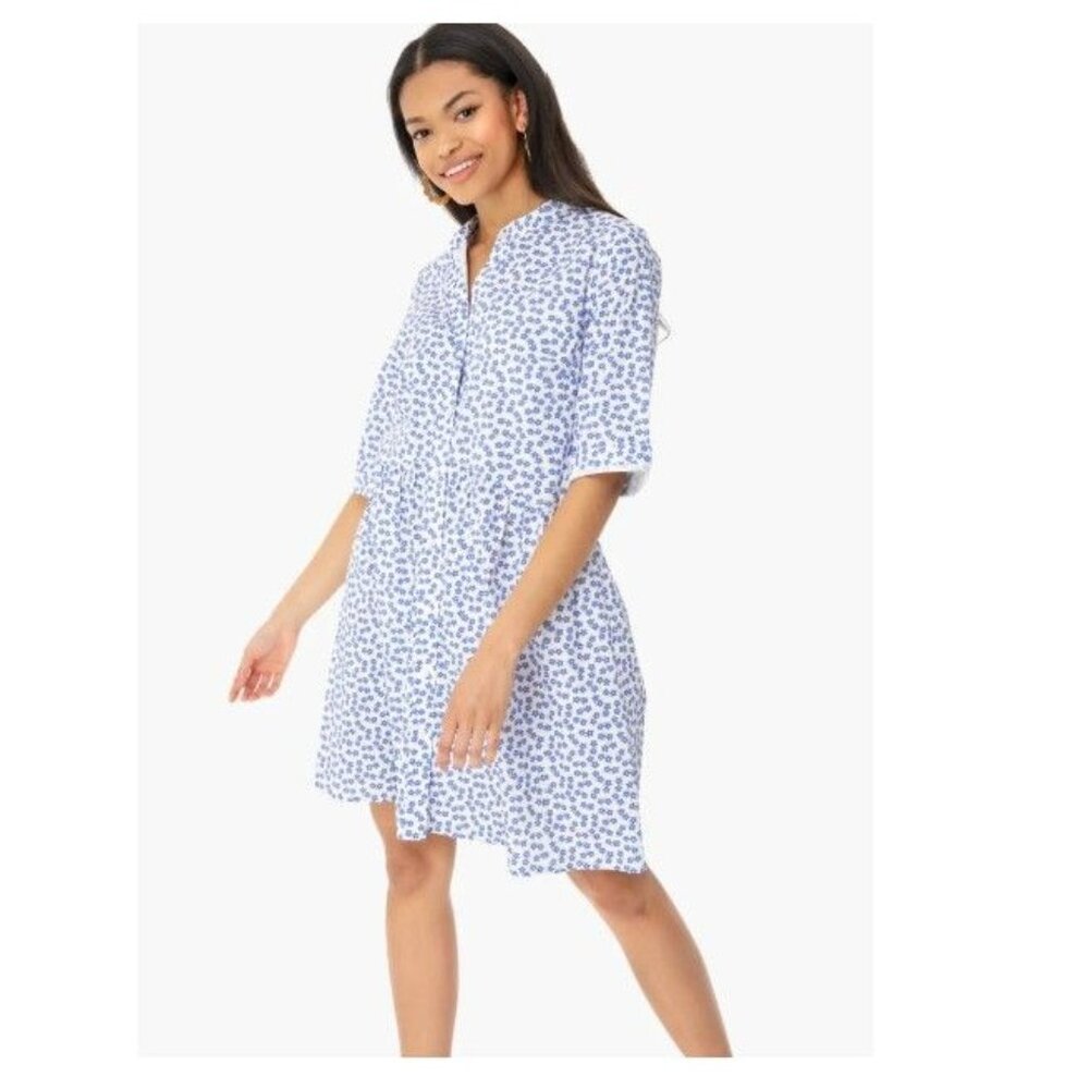 Tuckernuck Blue and White Printed Shift Dress